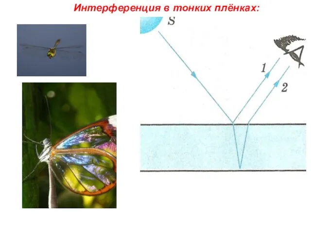 Интерференция в тонких плёнках: