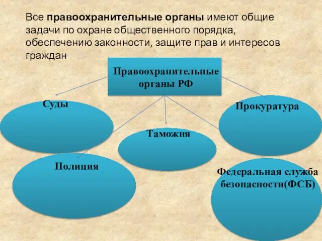 Таможня Все правоохранительные органы имеют общие задачи по охране общественного порядка, обеспечению