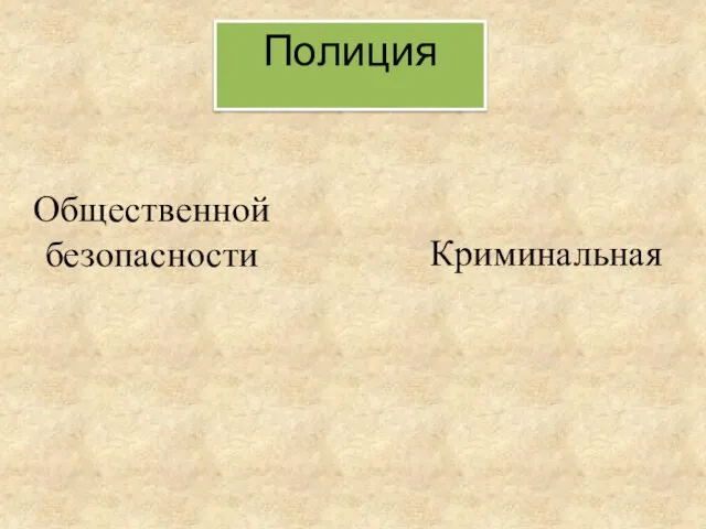 Полиция Общественной безопасности Криминальная