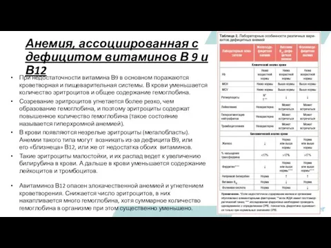 Анемия, ассоциированная с дефицитом витаминов В 9 и В12 При недостаточности витамина