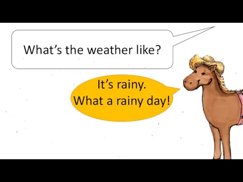 What’s the weather like? It’s rainy. What a rainy day!