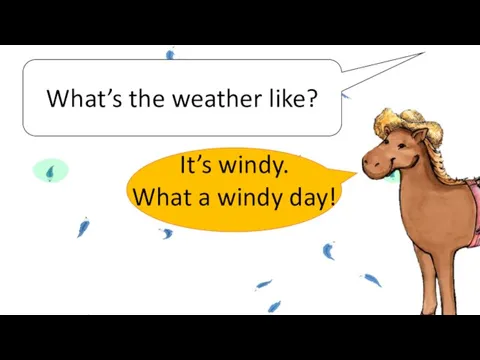 What’s the weather like? It’s windy. What a windy day!