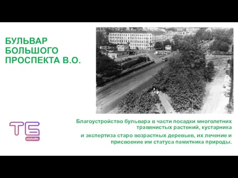 БУЛЬВАР БОЛЬШОГО ПРОСПЕКТА В.О. Благоустройство бульвара в части посадки многолетних травянистых растений,