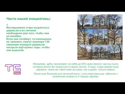 Части нашей инициативы: 1. Исследование старо возрастных деревьев и их лечение необходимо