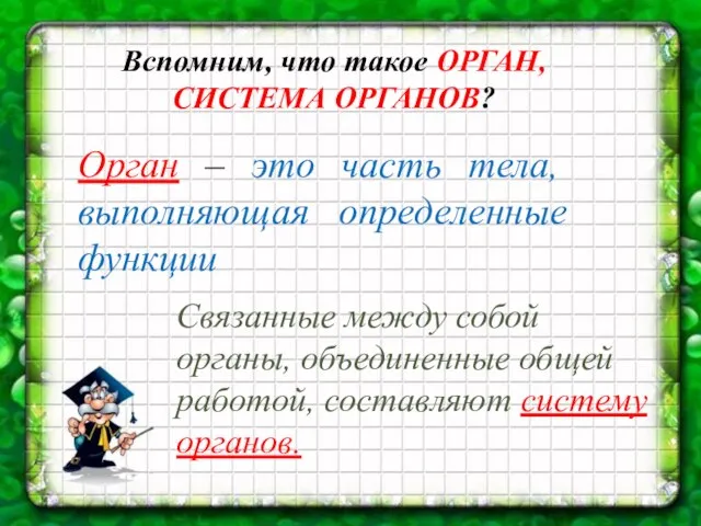 Вспомним, что такое ОРГАН, СИСТЕМА ОРГАНОВ? Орган – это часть тела, выполняющая