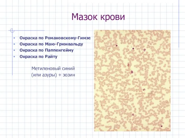 Мазок крови Окраска по Романовскому-Гимзе Окраска по Маю-Грюнвальду Окраска по Паппенгейму Окраска