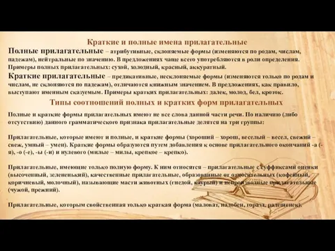 Краткие и полные имена прилагательные Полные прилагательные – атрибутивные, склоняемые формы (изменяются