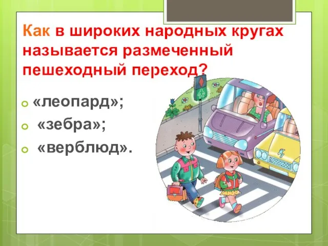 Как в широких народных кругах называется размеченный пешеходный переход? «леопард»; «зебра»; «верблюд».