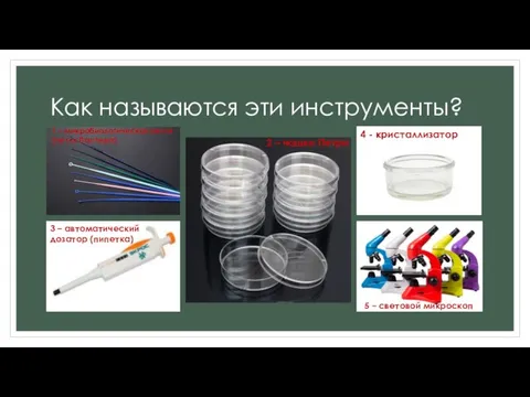 Как называются эти инструменты? 1 – микробиологическая петля (петля Пастера) 2 –