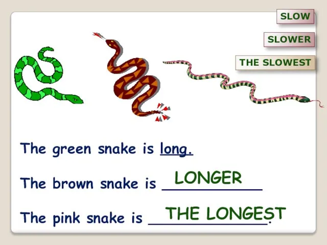 The green snake is long. The brown snake is ___________ The pink