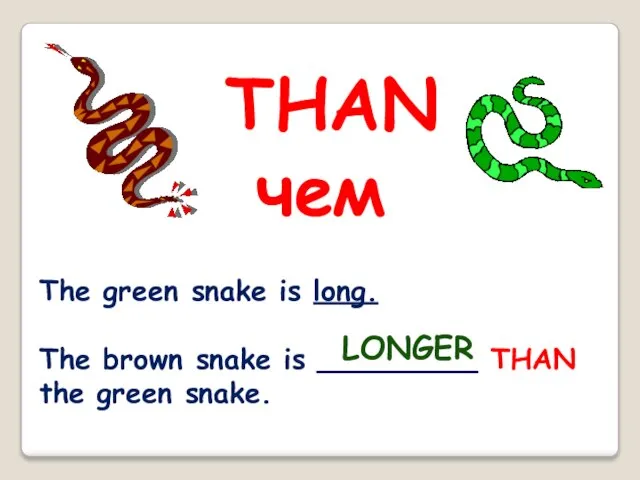 The green snake is long. The brown snake is _________ THAN the