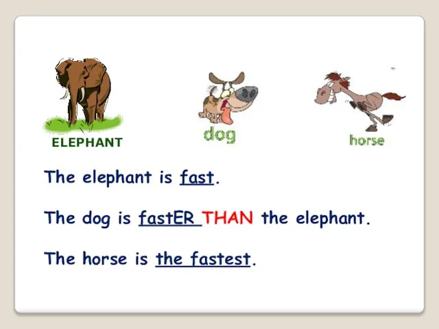 The elephant is fast. The dog is fastER THAN the elephant. The