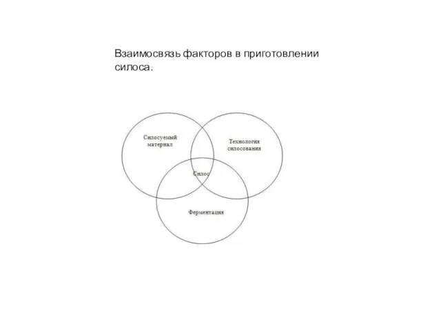 Взаимосвязь факторов в приготовлении силоса.