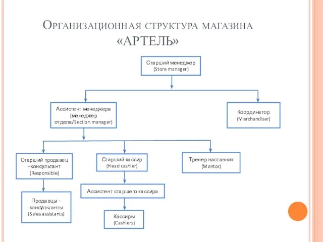 Организационная структура магазина «АРТЕЛЬ»