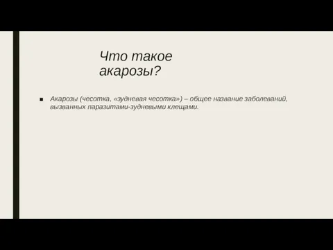 Что такое акарозы? Акарозы (чесотка, «зудневая чесотка») – общее название заболеваний, вызванных паразитами-зудневыми клещами.