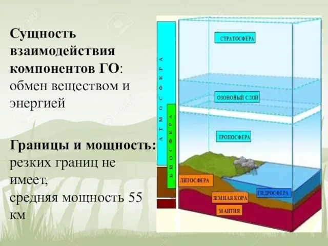 Сущность взаимодействия компонентов ГО: обмен веществом и энергией Границы и мощность: резких