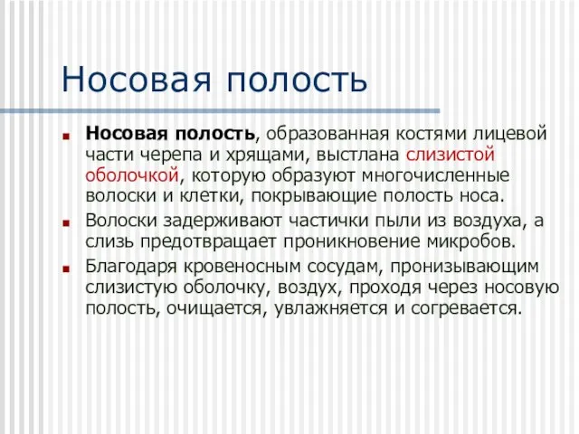 Носовая полость Носовая полость, образованная костями лицевой части черепа и хрящами, выстлана