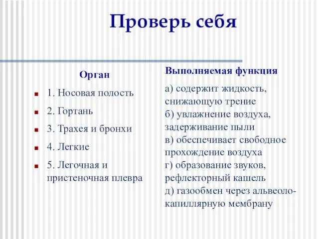 Проверь себя Орган 1. Носовая полость 2. Гортань 3. Трахея и бронхи