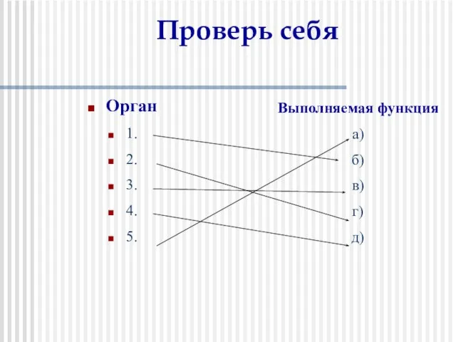 Проверь себя Орган 1. 2. 3. 4. 5. Выполняемая функция а) б) в) г) д)