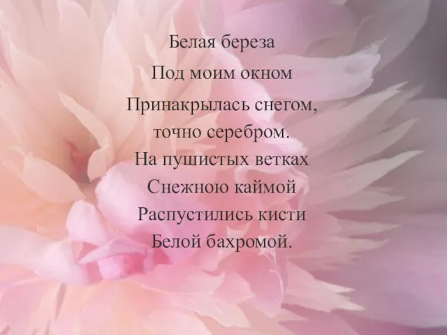 Белая береза Под моим окном Принакрылась снегом, точно серебром. На пушистых ветках