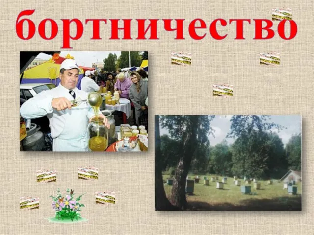 бортничество