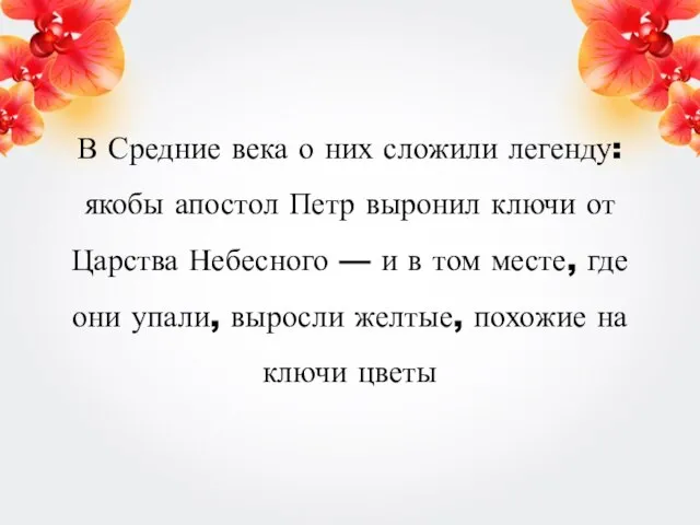 В Средние века о них сложили легенду: якобы апостол Петр выронил ключи