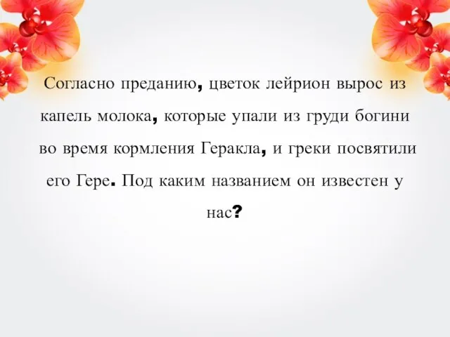 Согласно преданию, цветок лейрион вырос из капель молока, которые упали из груди