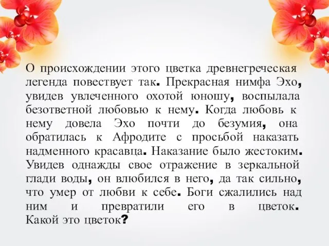 О происхождении этого цветка древнегречес­кая легенда повествует так. Прекрасная нимфа Эхо, увидев