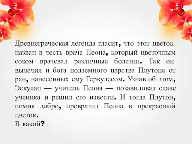 Древнегреческая легенда гласит, что этот цве­ток назван в честь врача Пеона, который