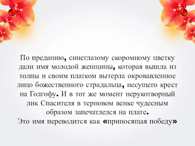 По преданию, синеглазому скоромному цветку дали имя молодой женщины, которая вышла из