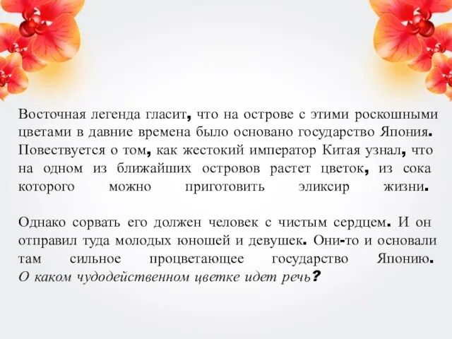 Восточная легенда гласит, что на острове с этими роскошными цветами в давние