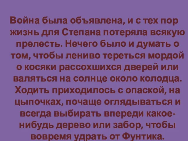 Война была объявлена, и с тех пор жизнь для Степана потеряла всякую