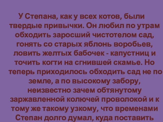 У Степана, как у всех котов, были твердые привычки. Он любил по