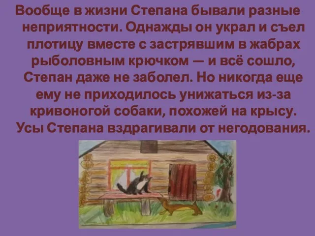 Вообще в жизни Степана бывали разные неприятности. Однажды он украл и съел