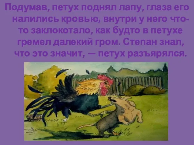 Подумав, петух поднял лапу, глаза его налились кровью, внутри у него что-то