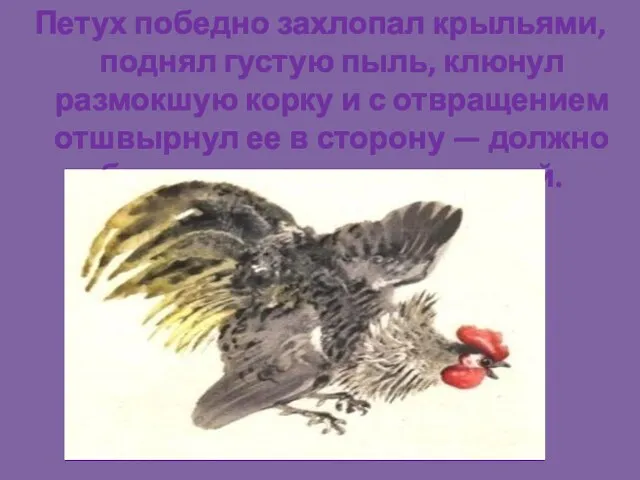 Петух победно захлопал крыльями, поднял густую пыль, клюнул размокшую корку и с