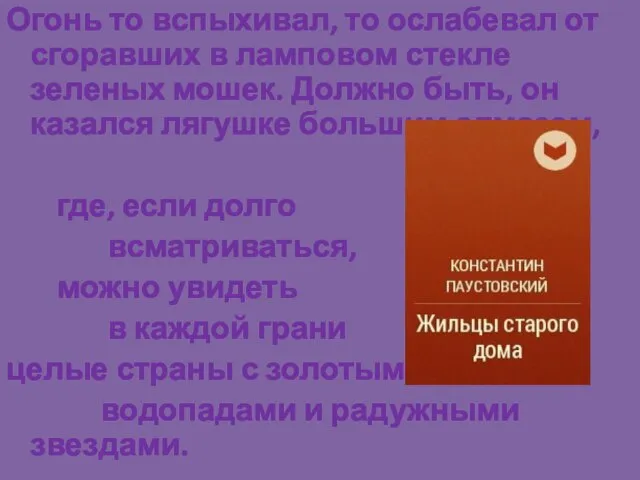 Огонь то вспыхивал, то ослабевал от сгоравших в ламповом стекле зеленых мошек.