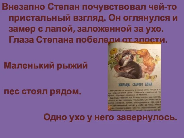 Внезапно Степан почувствовал чей-то пристальный взгляд. Он оглянулся и замер с лапой,