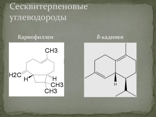 Кариофиллен δ-кадинен Сесквитерпеновые углеводороды