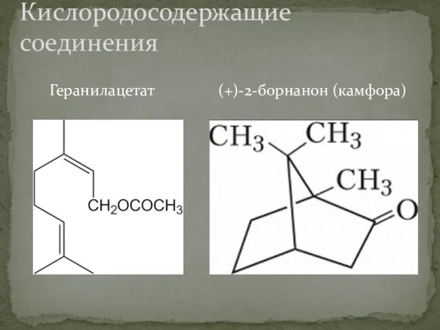 Геранилацетат (+)-2-борнанон (камфора) Кислородосодержащие соединения