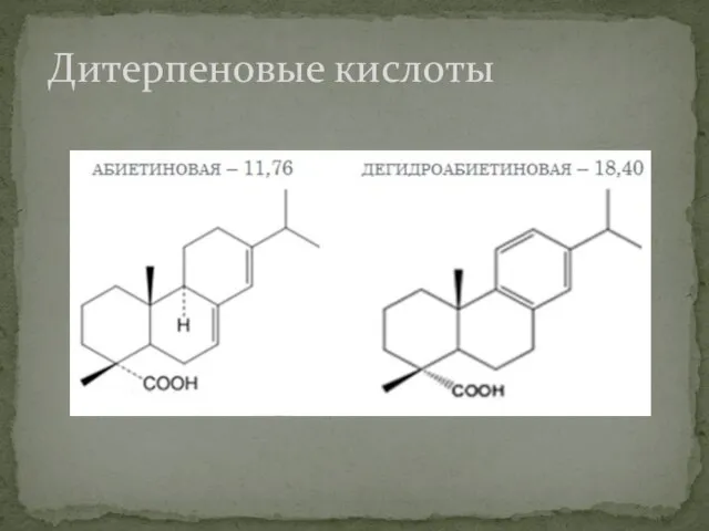 Дитерпеновые кислоты