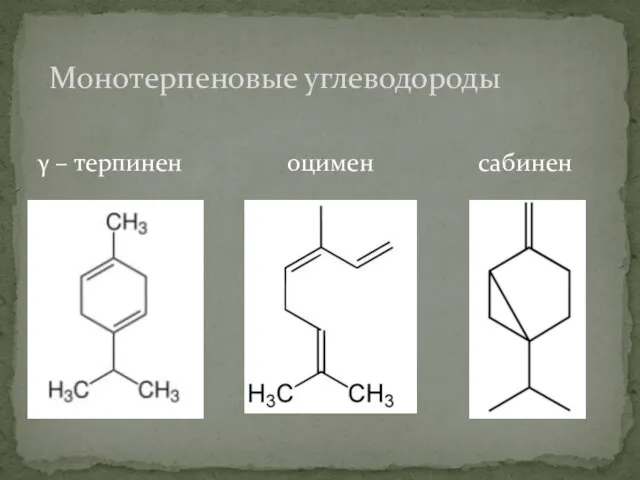 γ – терпинен оцимен сабинен Монотерпеновые углеводороды