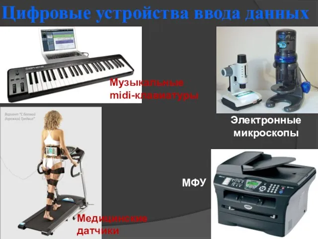 Цифровые устройства ввода данных МФУ Медицинские датчики Электронные микроскопы Музыкальные midi-клавиатуры
