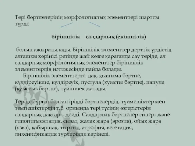 Тері бөртпелерінің морфологиялық элементтері шартты түрде біріншілік салдарлық (екіншілік) болып ажыратылады. Біріншілік