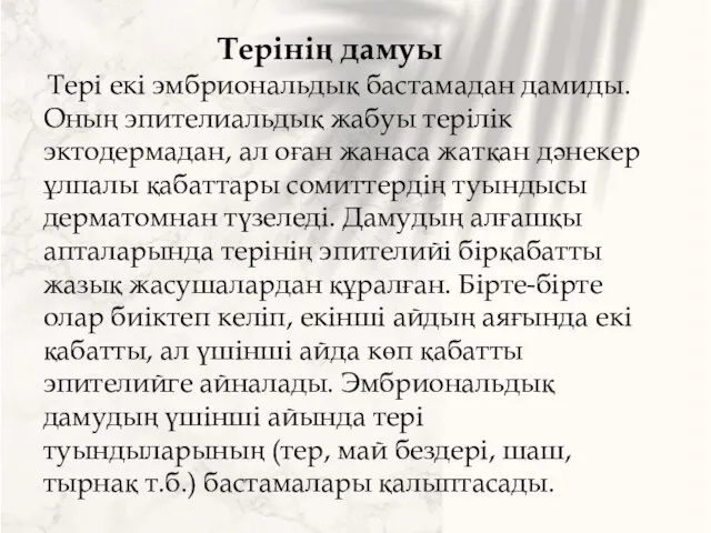 Терінің дамуы Тері екі эмбриональдық бастамадан дамиды. Оның эпителиальдық жабуы терілік эктодермадан,