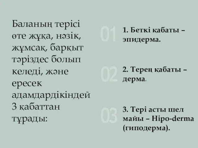 Баланың терісі өте жұқа, нәзік, жұмсақ, барқыт тәріздес болып келеді, және ересек