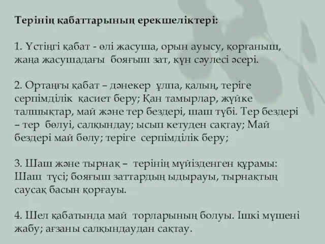 Терінің қабаттарының ерекшеліктері: 1. Үстіңгі қабат - өлі жасуша, орын ауысу, қорғаныш,