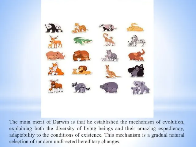 The main merit of Darwin is that he established the mechanism of