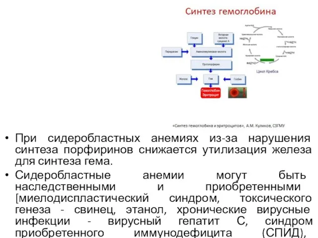 При сидеробластных анемиях из-за нарушения синтеза порфиринов снижается утилизация железа для синтеза