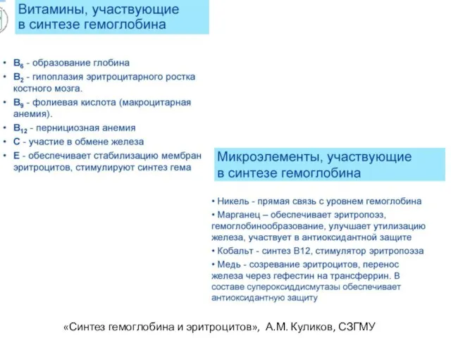 «Синтез гемоглобина и эритроцитов», А.М. Куликов, СЗГМУ